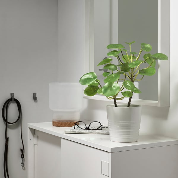 Small potted artificial green plant sits on a white shelf next to a lamp and a newspaper, enhancing a minimalist decor.