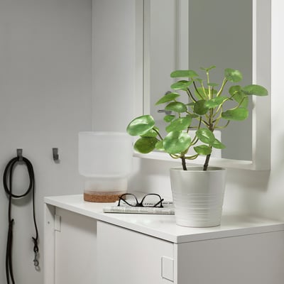 Small potted artificial green plant sits on a white shelf next to a lamp and a newspaper, enhancing a minimalist decor.
