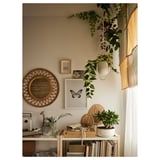 FEJKA Artificial potted plant, in/outdoor/tradescantia zebrina, 12 cm