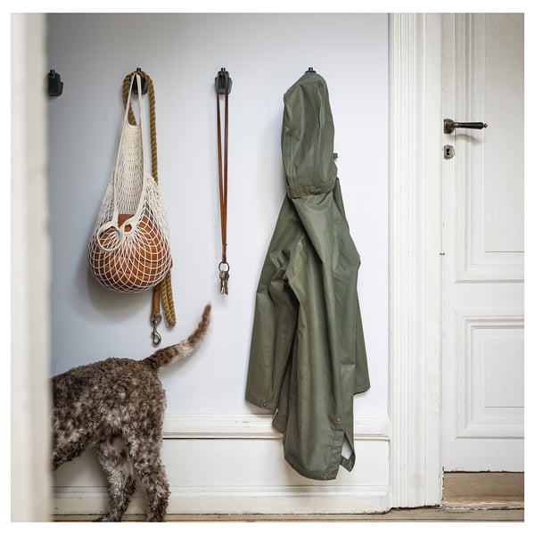 Hallway with hooks: net bag, coat, leash, cat sniffing, open door.
