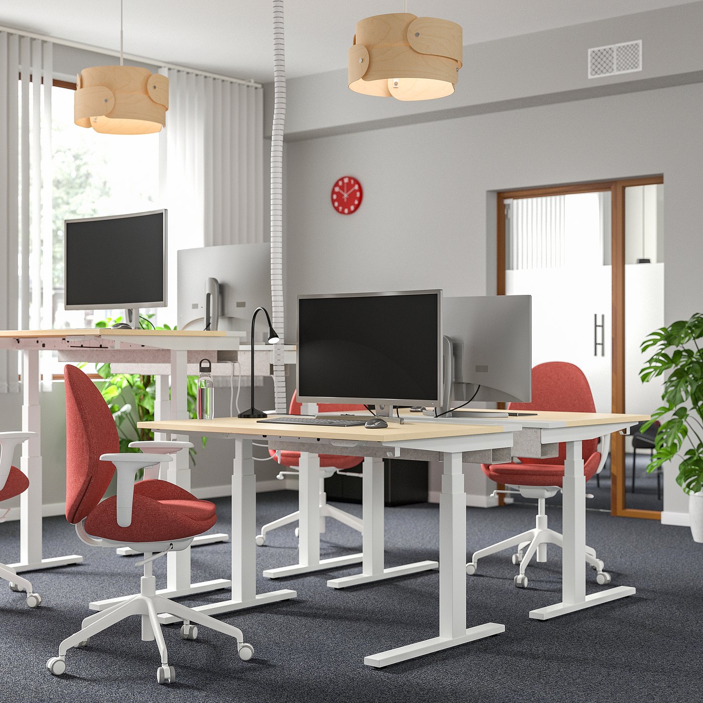 MITTZON Desk sit/stand - electric birch veneer/white 120x60 cm