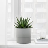 NYPON Plant pot, in/outdoor grey, 15 cm
