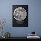 PJÄTTERYD Picture, moonlight, 50x70 cm
