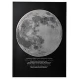 PJÄTTERYD Picture, moonlight, 50x70 cm