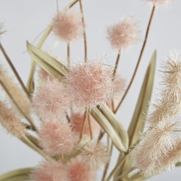 Fluffy pink dried flowers, stems visible, displayed closely.