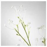 SMYCKA Artificial flower, Baby’s breath/white, 60 cm