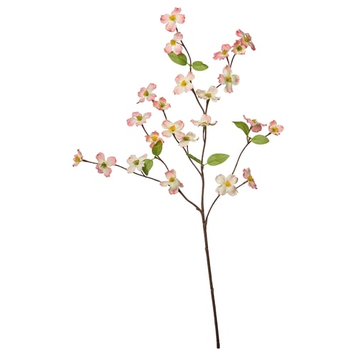 SMYCKA branch, pink-white flowers, green leaves on white background.