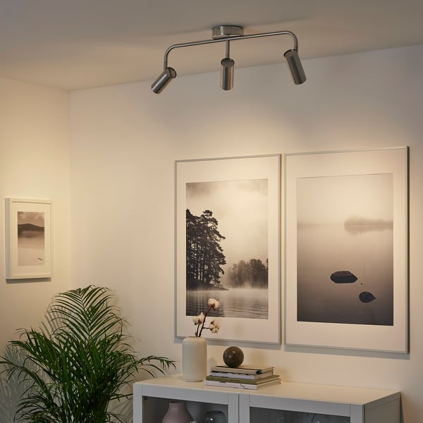 Modern room with black ceiling light, nature photos, and side table with plants and books.