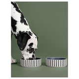 UTSÅDD Pet bowl, stripe pattern black-blue/dark blue, 15 cm