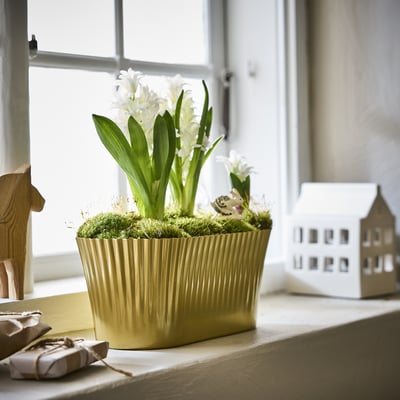 VINTERFINT golden planter holds white hyacinths with green leaves on a light-colored shelf near a window. Smaller than nearby wooden house decoration.