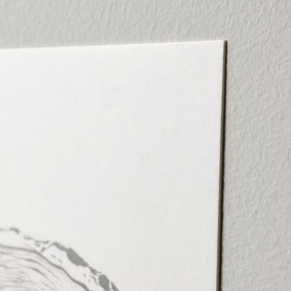 White art card leaning against a white wall. Crisp edges, smooth texture. Minimalist design with partial feather image at left.