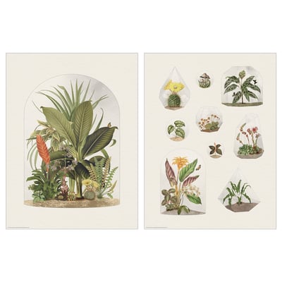 BILD Image, terrarium plantes tropicales, 30x40 cm