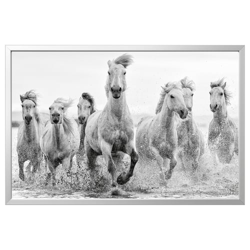 BJÖRKSTA Image avec cadre, chevaux au bord de l'eau/couleur aluminium, 118x78 cm