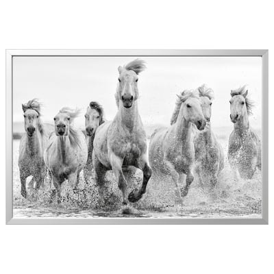 BJÖRKSTA Image avec cadre, chevaux au bord de l'eau/couleur aluminium, 118x78 cm