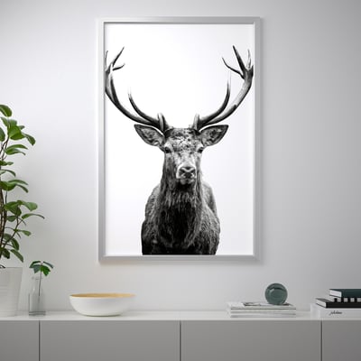 BJÖRKSTA Image avec cadre, Cornes/couleur aluminium, 78x118 cm