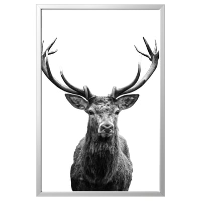 BJÖRKSTA Image avec cadre, Cornes/couleur aluminium, 78x118 cm