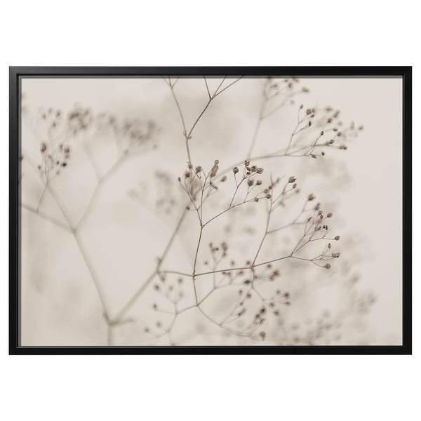 BJÖRKSTA Image avec cadre, fleurs - gros plan/noir, 140x100 cm