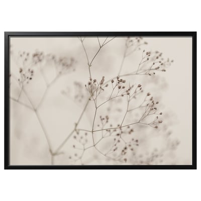 BJÖRKSTA Image avec cadre, fleurs - gros plan/noir, 140x100 cm