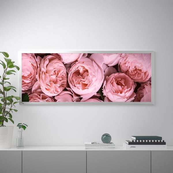 BJÖRKSTA Image avec cadre, Pivoine rose/couleur aluminium, 140x56 cm