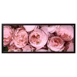 BJÖRKSTA Image avec cadre, Pivoine rose/noir, 140x56 cm