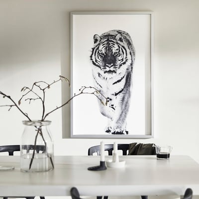 BJÖRKSTA Image avec cadre, tigre/couleur aluminium, 78x118 cm