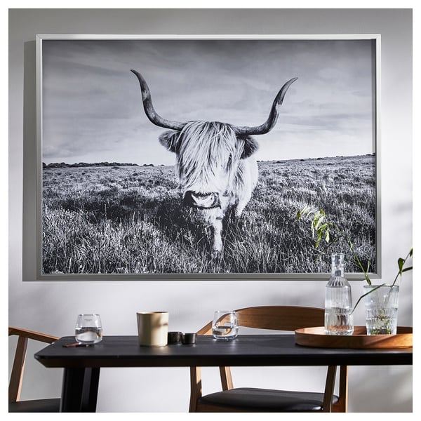 BJÖRKSTA Image avec cadre, vache curieuse/couleur aluminium, 140x100 cm