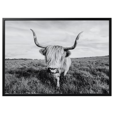 BJÖRKSTA Image avec cadre, vache curieuse/noir, 140x100 cm