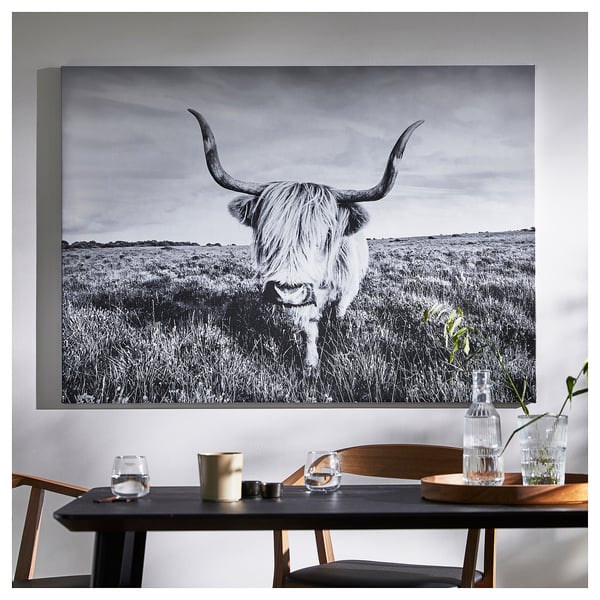 BJÖRKSTA Image avec cadre, vache curieuse/noir, 140x100 cm