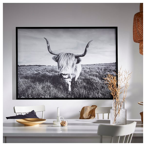 BJÖRKSTA Image avec cadre, vache curieuse/noir, 140x100 cm