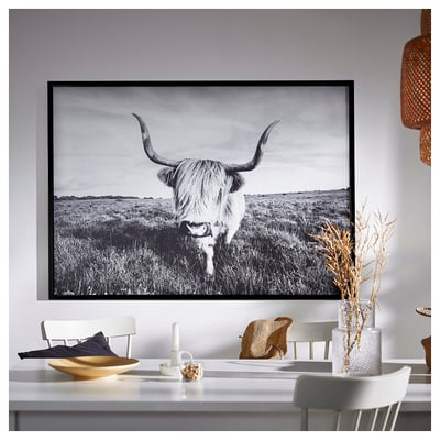BJÖRKSTA Image avec cadre, vache curieuse/noir, 140x100 cm