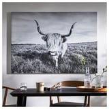 BJÖRKSTA Toile, vache curieuse, 140x100 cm