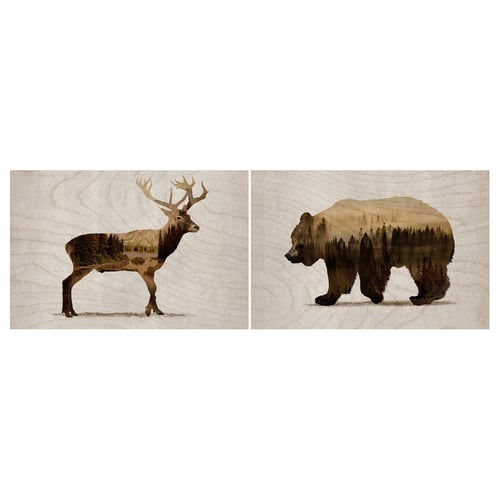 BJÖRNAMO Tableau, lot de 2, Animaux sauvages II, 30x20 cm