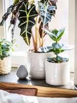 CHIAFRÖN Cache-pot, intérieur/extérieur blanc, 12 cm