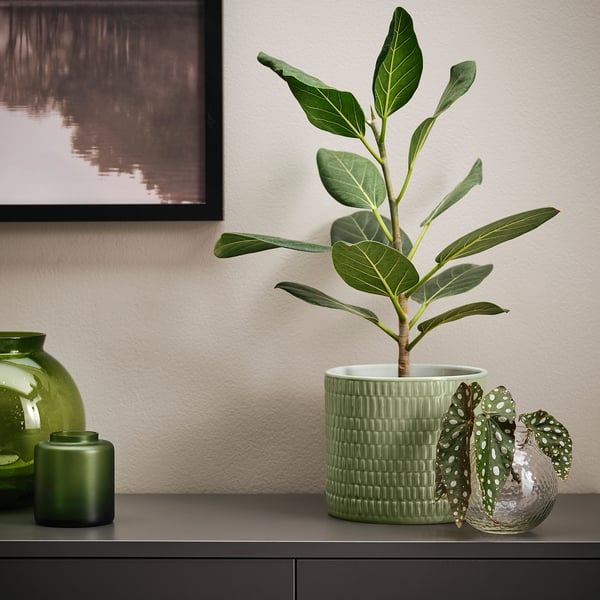 CHIAFRÖN Cache-pot, intérieur/extérieur vert, 15 cm