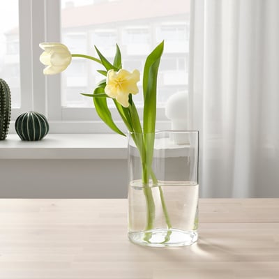 CHILIFRUKT Vase/arrosoir, verre transparent, 21 cm