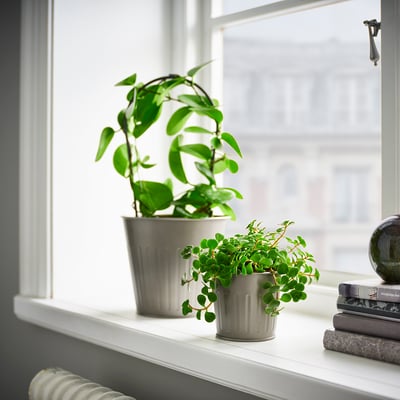 CITRONMELISS Cache-pot, intérieur/extérieur/gris, 9 cm