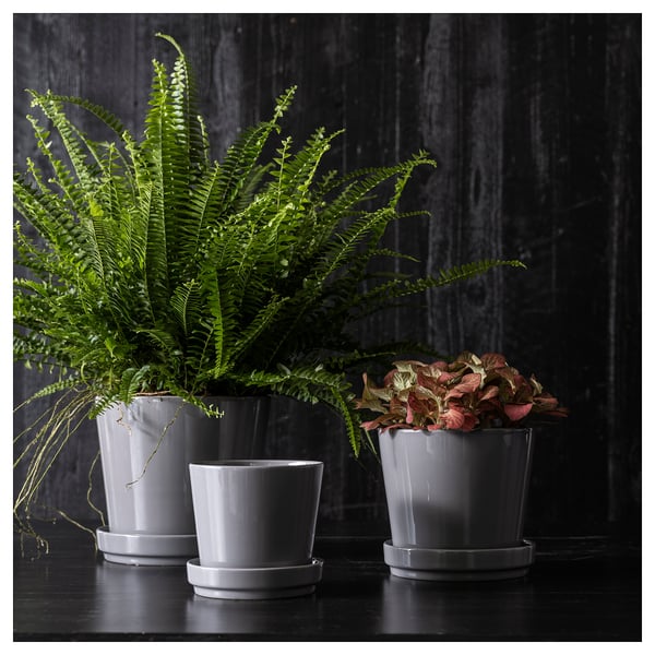 CITRUSFRUKT Pot avec coupelle, intérieur/extérieur gris, 15 cm
