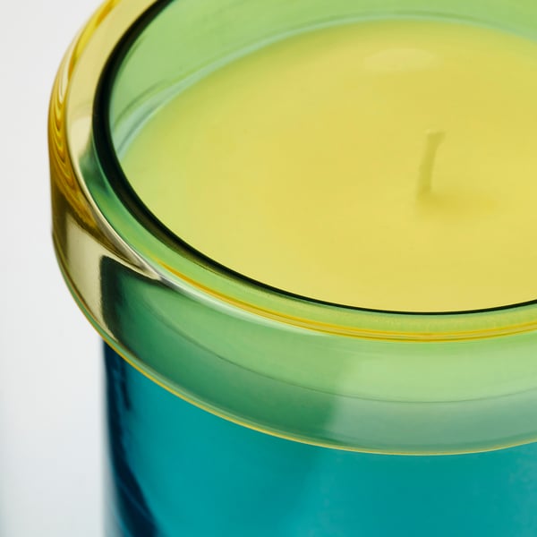 DVÄRGHÖK Bougie parfumée pot verre couvercle, Feuille de figuier bleu/jaune clair, 50 hr