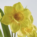 FEJKA Plante artifici av pot, lot de 3, intérieur/extérieur fleur, 6 cm