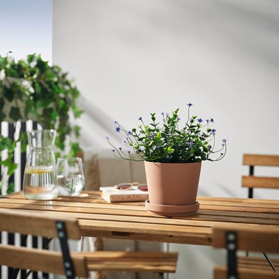 FEJKA Plante artificielle, intérieur/extérieur/en fleurs mauve, 12 cm