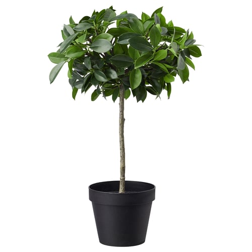 FEJKA Plante artificielle, intérieur/extérieur/figuier pleureur tronc, 12 cm