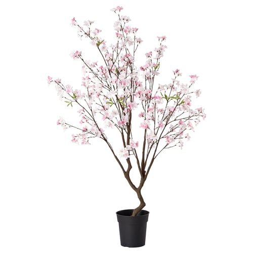 FEJKA Plante artificielle, intérieur/extérieur fleur de cerisier, 19 cm