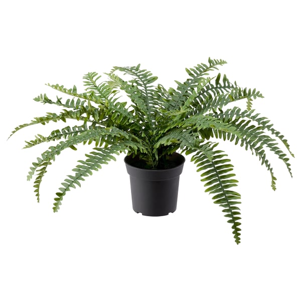 FEJKA Plante artificielle, intérieur/extérieur fougère, 15 cm