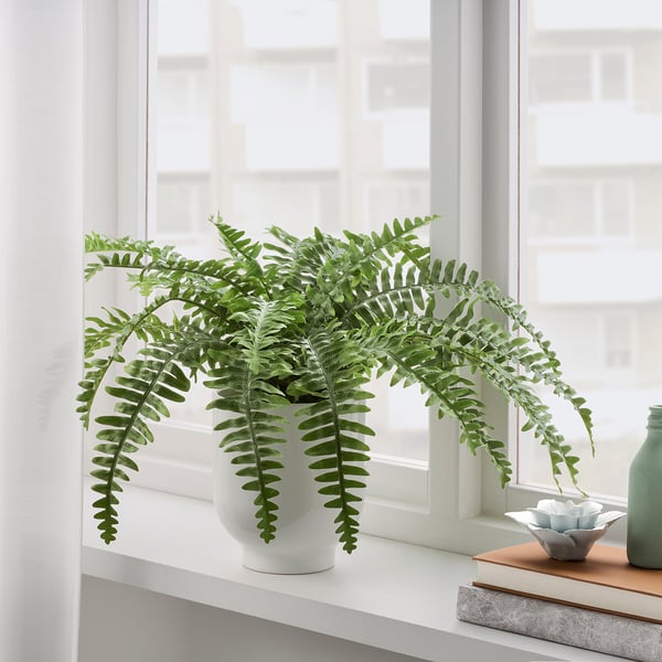 FEJKA Plante artificielle, intérieur/extérieur fougère, 15 cm