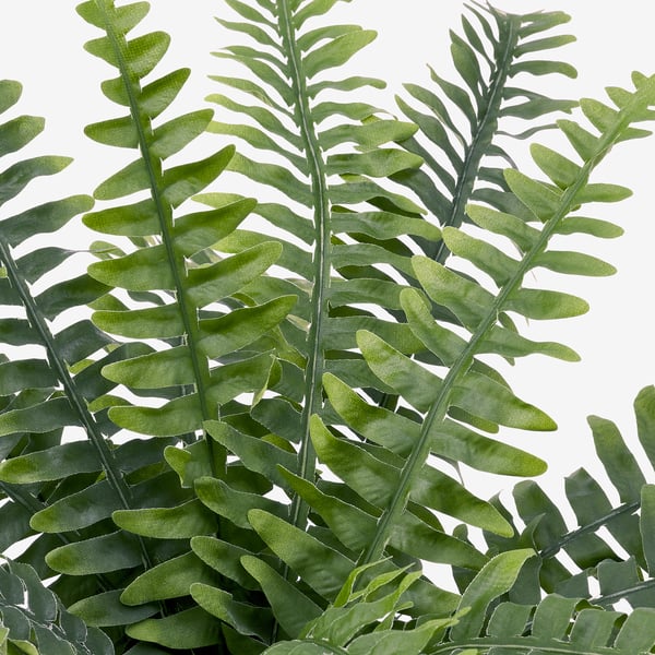 FEJKA Plante artificielle, intérieur/extérieur fougère, 15 cm