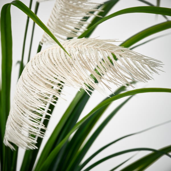FEJKA Plante artificielle, intérieur/extérieur/herbe, 17 cm