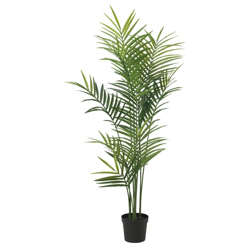 FEJKA Plante artificielle, intérieur/extérieur/Kentia, 21 cm