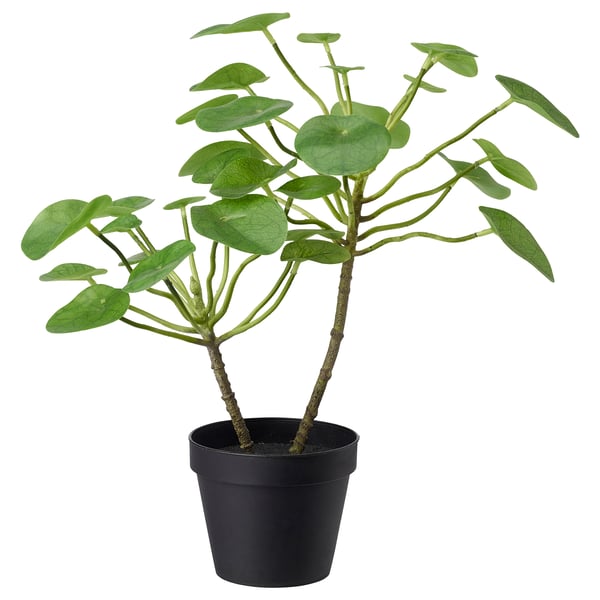 FEJKA Plante artificielle, intérieur/extérieur Pilea, 12 cm