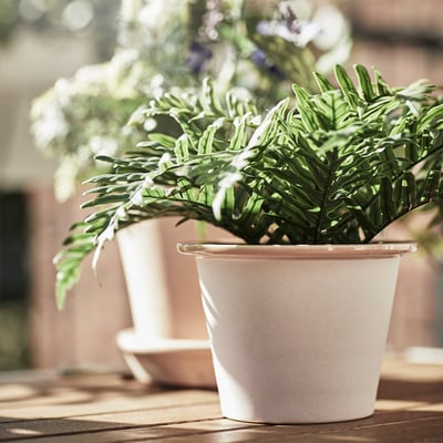 FEJKA Plante artificielle, intérieur/extérieur Polypodium, 9 cm