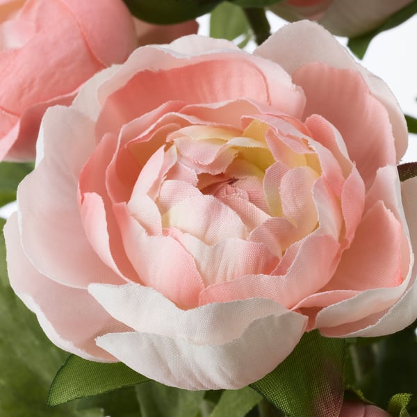 FEJKA Plante artificielle, intérieur/extérieur/renoncule rose, 12 cm